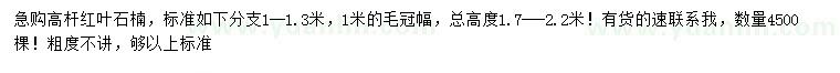 求購冠幅1米高桿紅葉石楠