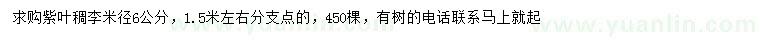 求購米徑6公分紫葉稠李