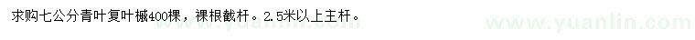 求購(gòu)7公分青葉復(fù)葉槭