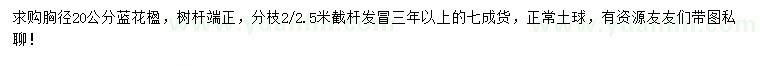 求購(gòu)胸徑20公分藍(lán)花楹