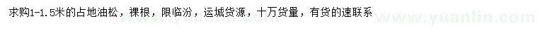求購(gòu)1-1.5米油松