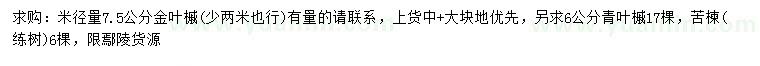 求購金葉槭、青葉槭、苦楝