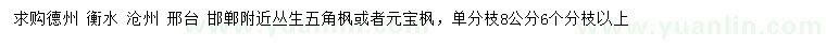 求購叢生五角楓或元寶楓