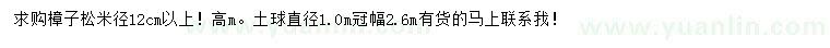 求購米徑12公分以上樟子松