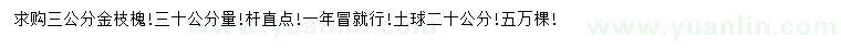 求購30公分量3公分金枝槐