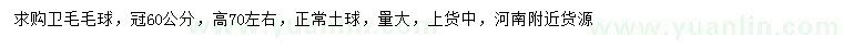 求購冠幅60公分衛(wèi)矛毛球