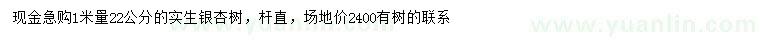 求購1米量22公分銀杏
