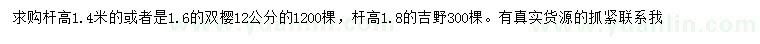 求購(gòu)12公分12公分雙櫻