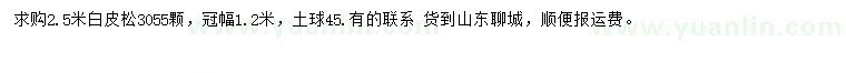 求購2.5米白皮松