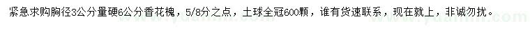 求購購胸徑3公分量硬6公分香花槐