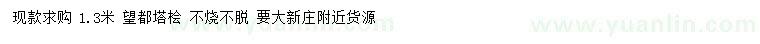 求購(gòu)1.3米望都塔檜