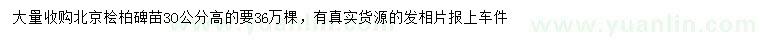 求購高30公分北京檜