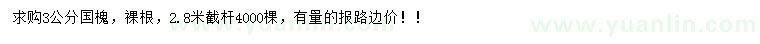 求購3公分國槐