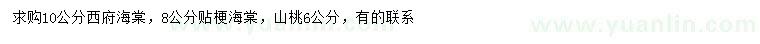 求購(gòu)西府海棠、貼梗海棠、山桃
