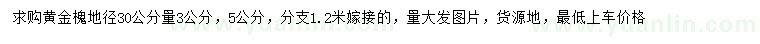 求購(gòu)地徑30公分量3、5公分黃金槐
