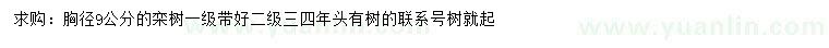 求購胸徑9公分欒樹