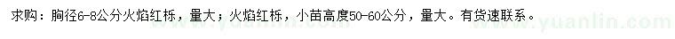 求購胸徑6-8公分火焰紅櫟
