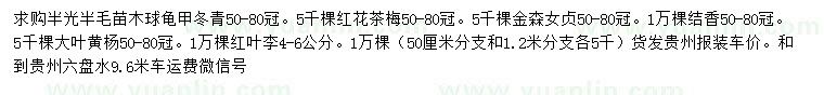 求購(gòu)龜甲冬青、紅茶梅、金森女貞等