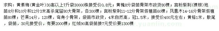 求購黃素梅、黃槐、宮粉紫荊等