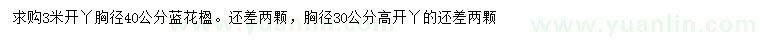 求購胸徑30、40公分藍(lán)花楹
