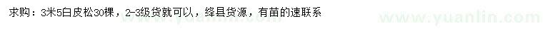 求購3.5米白皮松