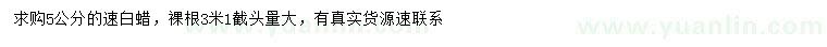 求購5公分速白蠟
