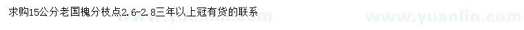 求購15公分老國槐
