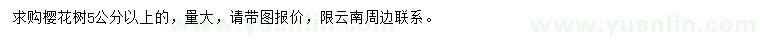 求購(gòu)5公分以上櫻花