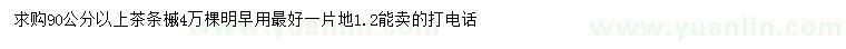 求購90公分以上茶條槭