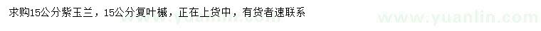 求購15公分紫玉蘭、復(fù)葉槭