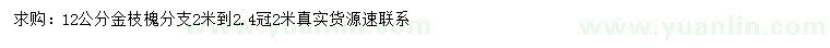 求購12公分金枝槐
