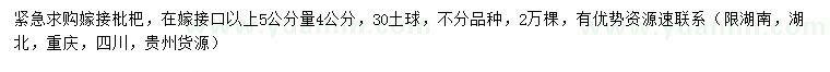 求購5公分量4公分嫁接枇杷