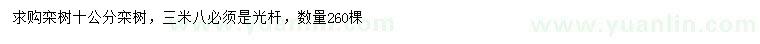 求購10公分欒樹