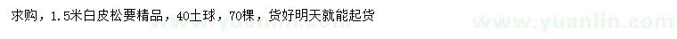 求購1.5米白皮松