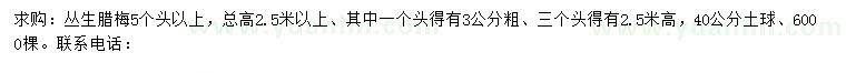 求購叢生臘梅
