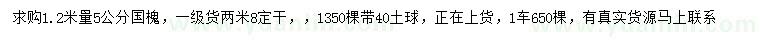 求購(gòu)1.2米量5公分國(guó)槐