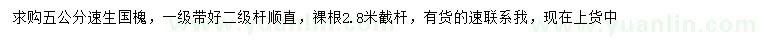 求購5公分速生國槐