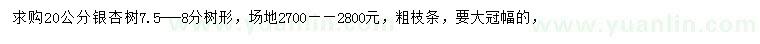 求購20公分銀杏