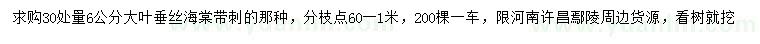 求購30公分量6公分大葉垂絲海棠