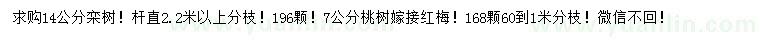 求購14公分欒樹、7公分嫁接紅梅