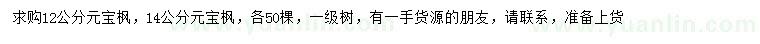 求購12、14公分元寶楓