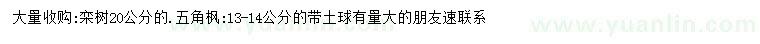求購20公分五角楓、13-14公分欒樹