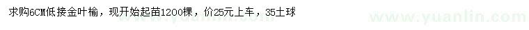 求購(gòu)6公分低接金葉榆