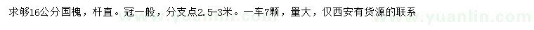 求購(gòu)16公分國(guó)槐
