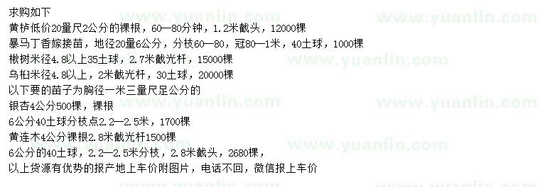 求購(gòu)黃櫨、暴馬丁香、楸樹(shù)等