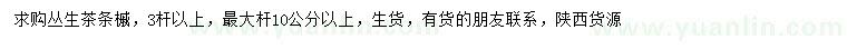 求購叢生茶條槭