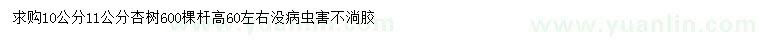求購10、11公分杏樹