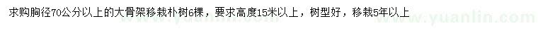 求購胸徑70公分以上大骨架移栽樸樹