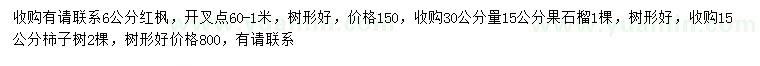 求購紅楓、果石榴、柱子樹