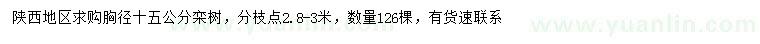 求購胸徑15公分欒樹
